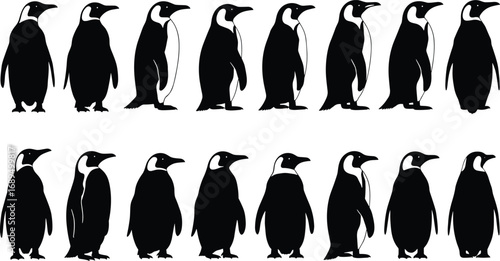 Penguin vector illustration, black white bird clipart, Antarctic wildlife art, cold climate animal, cartoon style bird silhouettes, nature design, animal icons