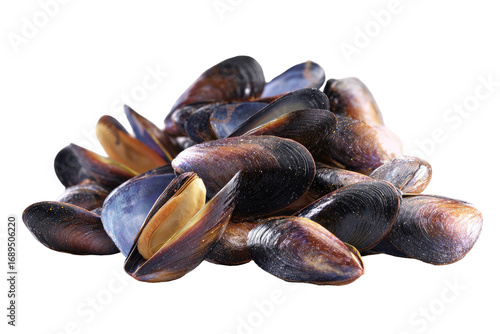 Close-up of a cluster of fresh mussels
