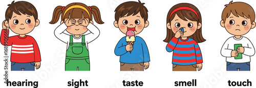 Five cartoon children showing human senses, educational illustration, hearing, sight, taste, smell, touch, sensory learning concept, vector art