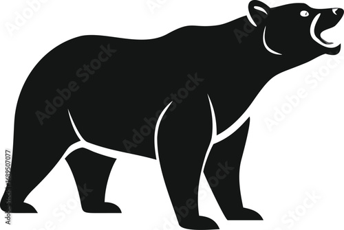 vector illustration of a bear