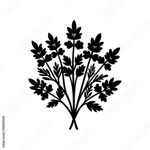 Stylized vector graphic of a leafy parsley like plant in black color