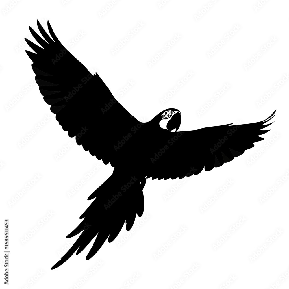 Fototapeta premium Black silhouette of a macaw parrot in flight isolated on white background silhouette