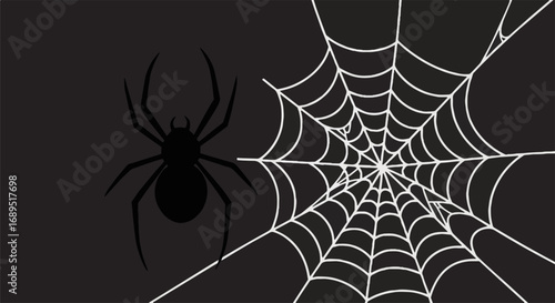 Spooky black spider and intricate white spiderweb on a dark background. Creepy Halloween graphic asset for design projects.