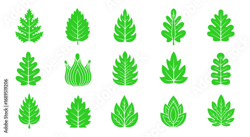 Green Leaf Vector Icons Set Nature, Botany, Ecology, Spring, Foliage, Plants, Vectore Illustration 