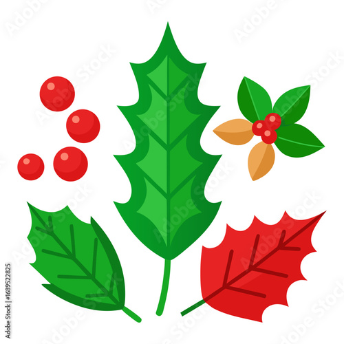 Christmas holly leaves and berries vector illustration