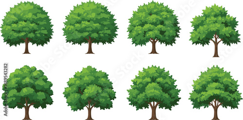 Collection of lush green deciduous tree illustrations, forest elements, botanical clipart, natural foliage, landscape design, vector tree set, isolated.