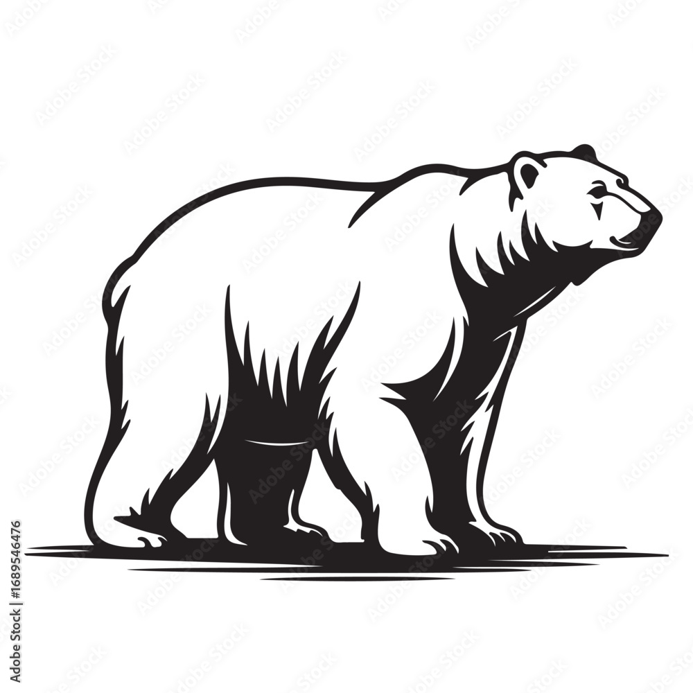 Fototapeta premium Black and white illustration of polar bear walking side view