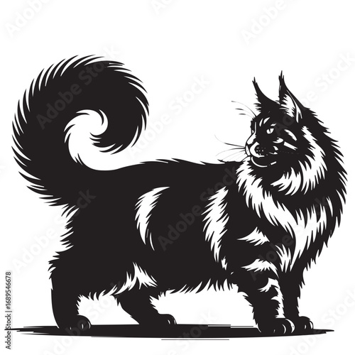 Black and white illustration of fluffy long haired cat standing