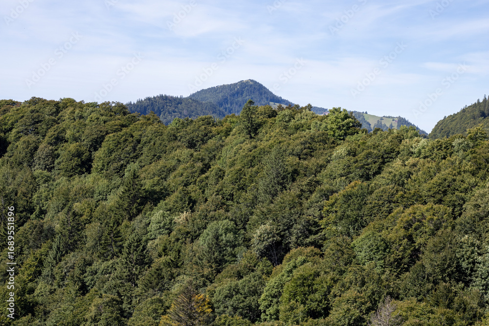 Fototapeta premium Weissenstein, Solothurn, Switzerland, September 2025