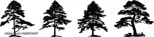 Silhouette set of various pine tree species, forest and park landscape elements, black vector illustration for nature, garden, outdoor, and environmental design projects