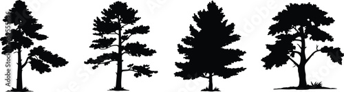 Silhouette set of different tree species, botanical diversity, forest and park landscape elements, black vector illustration for nature, garden, outdoor, and environmental design