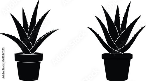 Silhouetted Aloe Vera Plants in Pots, Vector Illustration, Nature Scene, Minimalist Design, Black and White, High-Resolution Artwork for Home Decor