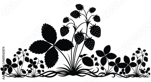 berry plants with lush leaves and ripe strawberries
