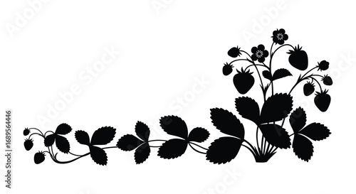 a detailed silhouette of strawberry plant with leaves berries
