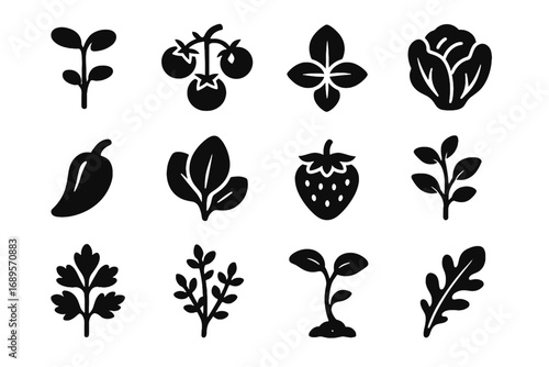 Mini sprig nano icon tiny baby garden curl fruit arugula tomato vector