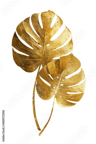Two golden-hued, overlapping monstera leaves, delicately detailed with ribbed veins,  against a black background