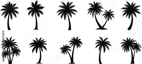 Collection of palm tree silhouette vector illustrations in different styles and shapes, tropical beach nature design elements for summer, travel, and landscape