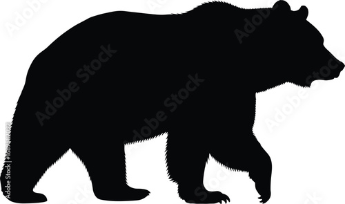 Black silhouette bear walking profile with jagged fur edges, wildlife vector illustration for nature, forest, animal, and educational themes.
