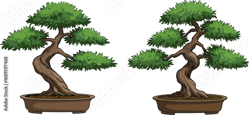 Miniature bonsai trees in decorative pots, artistic plant arrangement, Japanese gardening art, twisted trunks, lush green foliage, indoor ornamental plants for home decor photography