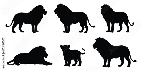 Collection of black lion silhouettes in various poses on white background animal wildlife