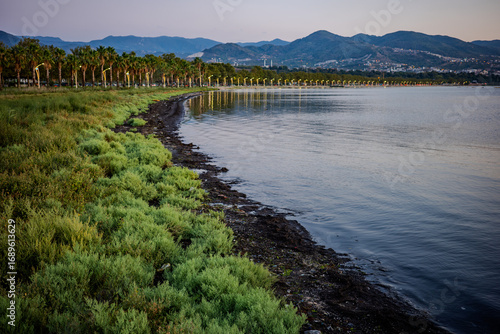 Wallpaper Mural Palm-lined shoreline of Izmit Gulf at dusk Torontodigital.ca