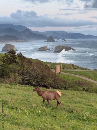 Ecola State Park,Oregon