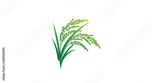 Illustration of green rice stalks and grains against a white background, representing agriculture or food production.