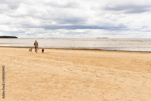 professional dog walker. person walks two pets on beach by sea. dogs on leashes, woman is wearing hat. Pet training with dog handler, dog sitter. animals in nature. shelter, dog walking volunteer.