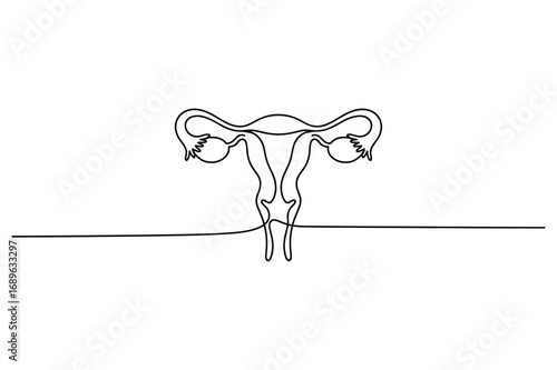 Minimal Line Drawing of the Female Reproductive System – Continuous Line Women's Health Illustration