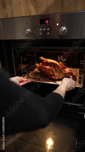 Festive christmas roast whole duck on aluminized steel baking sheet inside open oven at home kitchen. Ready golden turkey or goose on tray. Classic American Thanksgiving food preparation.