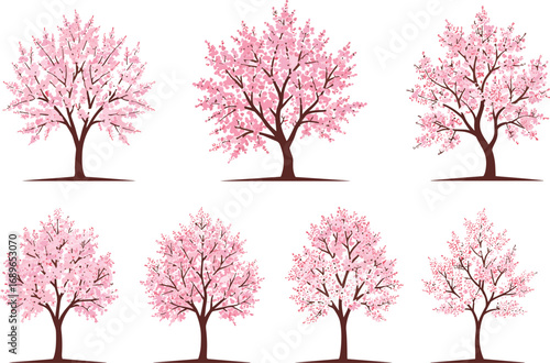 pink cherry tree