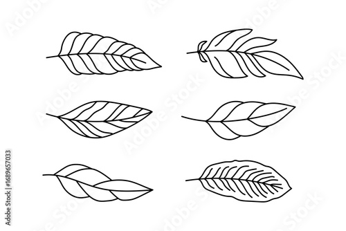 Feathers vector doodle on isolated background. Hand drawn ink sketch style. Abstract furry swirl appendages for tattoo, sign, design. Plume birds  flat illustration. 