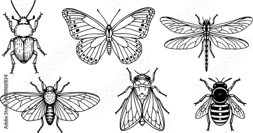 Hand-Sketched Insects Collection with Hand-Drawn Beetles, Bugs, Butterflies, Dragonfly, Cicada, Moths and Bees in Vintage Style Entomological Vector Drawings