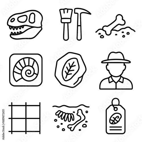 Fossil Discovery Icons. Line style icons of fossil discovery and excavation: dinosaur skull fossil, fossil brush and pick, fossil