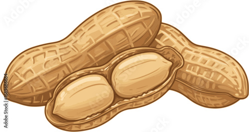 Two peanut pods in shell lying next to each other, isolated on white background
