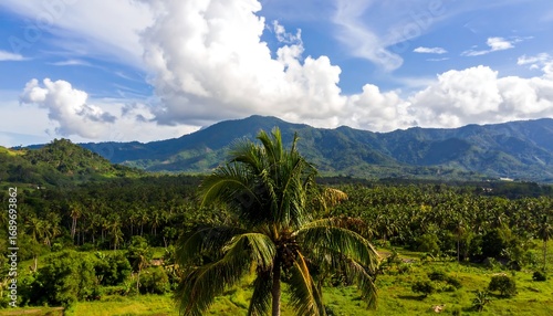 Lush landscape with palm tree and mountains