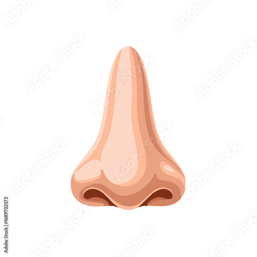 Cartoon style illustration of a human nose with anatomical details.