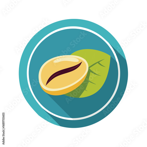 Coffee bean and leaf icon vector flat design in a circle with long shadow