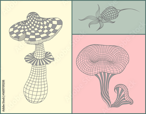 cankerberry and mushrooms in Line Art .mesh frame.
 Botanical, decorative, and modern design element.
fly agaric mushroom and chanterelle