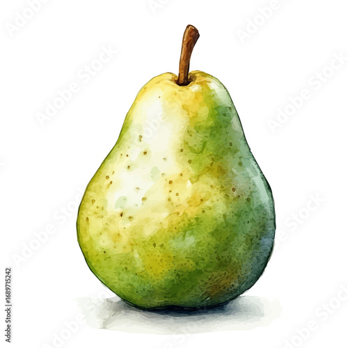 Pear, watercolor clipart vector, isolated on a white background.
