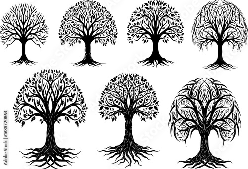 Tree of Life tribal vector black set
