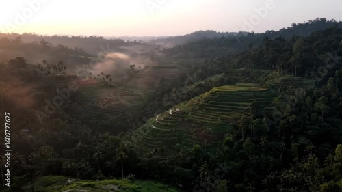 Sunrise over a lush, green valley with terraced rice fields and mist rising from the dense jungle canopy
