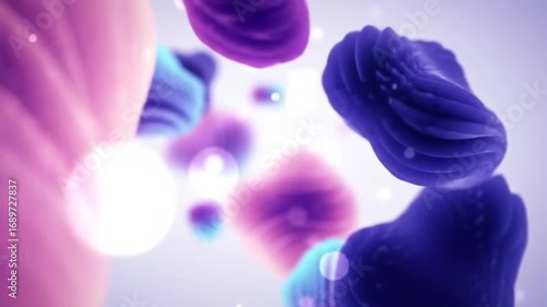 Abstract shapes moving