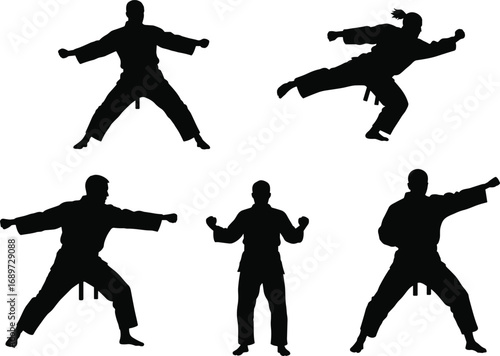 Martial arts silhouettes in dynamic poses, karate gi uniform, high kick, combat stance, self defense training, discipline, strength, precision, movement