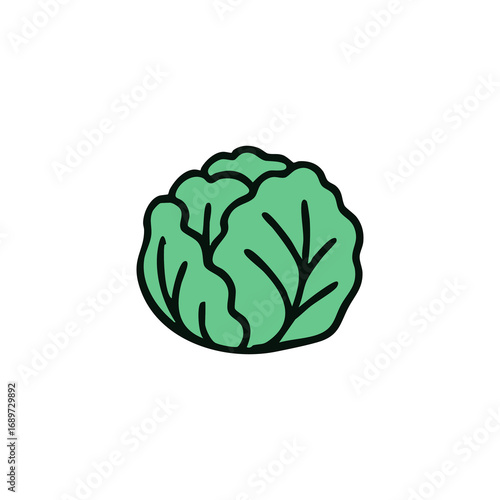 Simple illustration of a head of lettuce