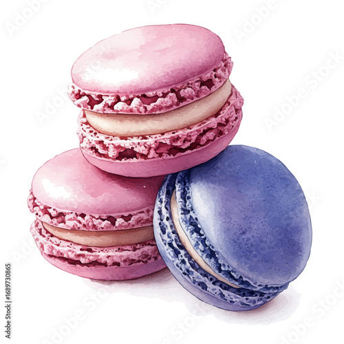 watercolor vector of Macarons, isolated on a white background.