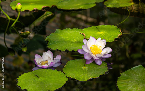 Scenes Around Kew Gardens in London England