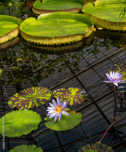Scenes Around Kew Gardens in London England
