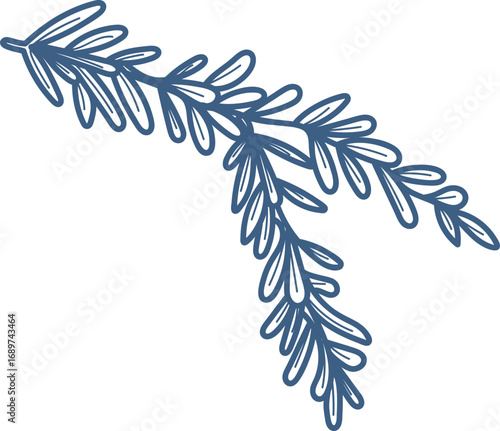 Pine Branch Sketch