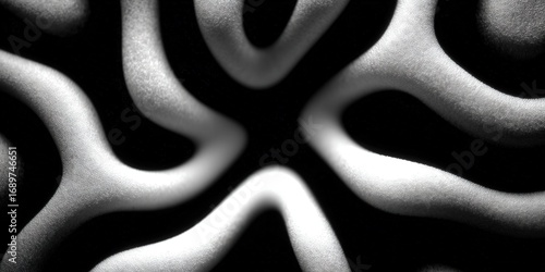 Abstract black and white image with organic curves and textures in a minimalist design.